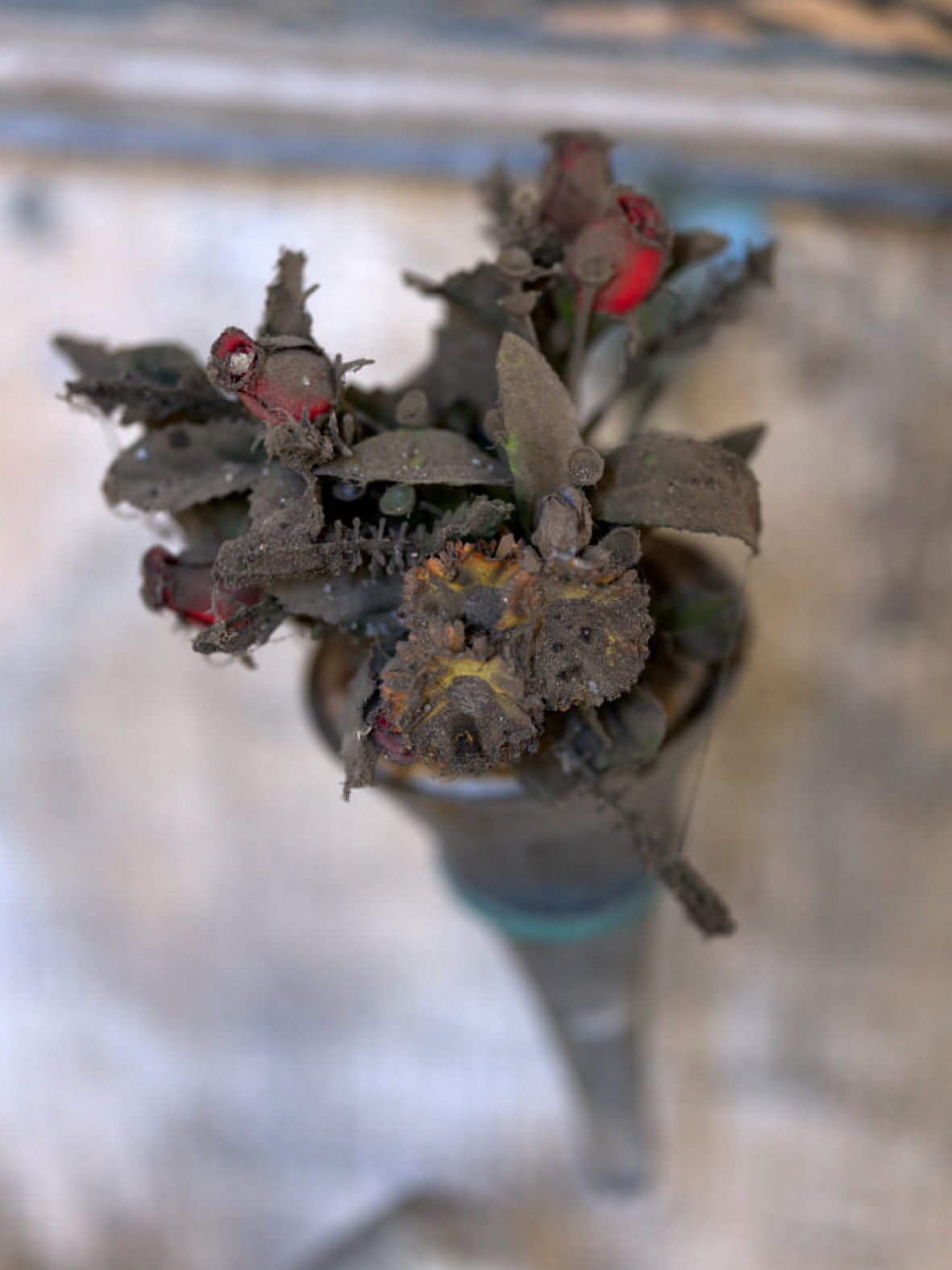 Steven Seidenberg 11